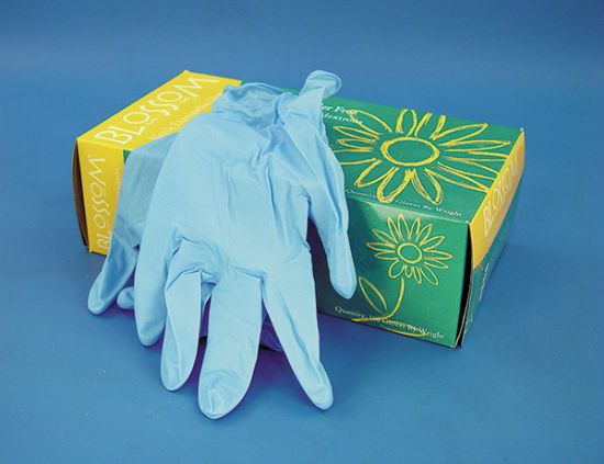 Picture of Nitrile Gloves, Large