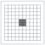 Picture of PGR100 Calibration Grid
